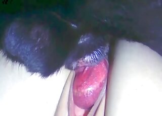 Tight woman fucked by the dog on cam and soaked in fresh jizz