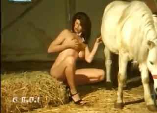 Vintage women sharing their animal sex perversions in a hot compilation