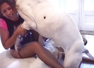 Big ass babe cam fucked by the dog in pretty harsh XXX scenes
