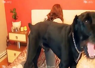 Real dog porn on cam suits solo wife with shivering pleasures
