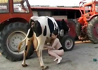 Hot amateur slut milks cow to cover her needy cunt and clit