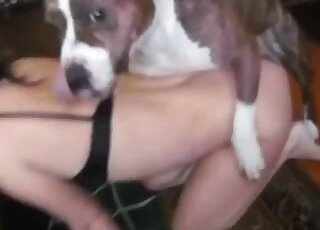 Dog humps man's wife in the pussy for a nasty zoo cam shag
