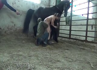 Aroused blonde female plays with the stallion's big dick like a pro