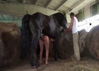Curvy brunette female guides horse's monster dick right up her cunt