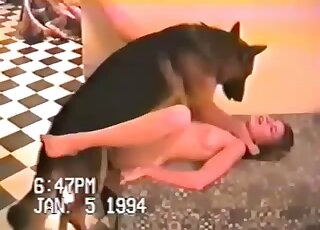 Teen babe in classic hardcore sex tape involving a furry dog