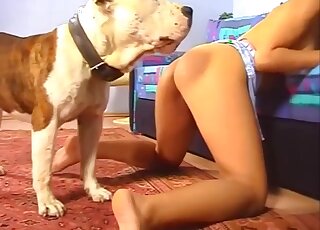 Vintage amateur fucked by her dog in restless cam scenes