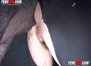 Steamy woman leaves the pig penetrate her ass in kinky zoo scenes