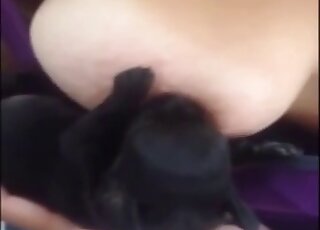 Lady lets this animal suckle on her tits in breastfeeding fetish clip