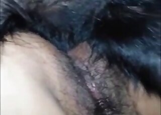 Fantastic fuck scene showing a hot animal that fucks her hot hole
