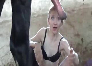 Attractive lady in black lingerie is sucking on a horse's meaty penis