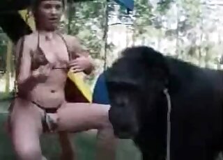 Naughty bitch does her best to seduce a monkey for hot zoo porn