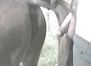 Dirty-minded zoophile stuffs his pecker inside wet cunt of a horse