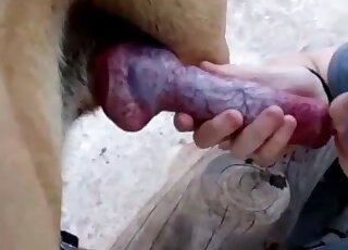 Outdoor handjob session featuring a really attractive lady that cums