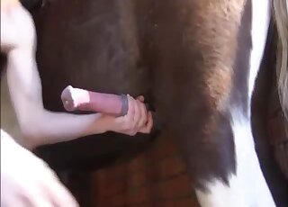 Blonde lady doing her best to pleasure a horse's cock orally