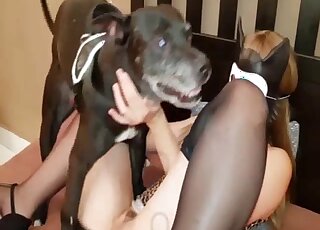 Pink pussy chick is all about hardcore love with a kinky doggo