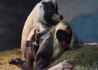 Black stockings babe is enjoying doggystyle banging with orgasms
