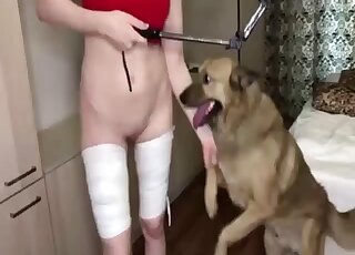 Gorgeous girl with a juicy pussy is getting banged by a sexy beast