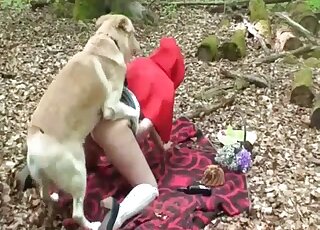 Red Riding Hood finds a big bad dog that's going to fuck her pussy