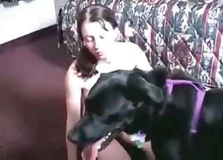 Big black dog's hard shaft gets sucked and then used to fuck a hot bitch
