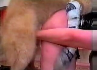 Fluffy dog bangs wet twat of a zoophile chick wearing a leather costume