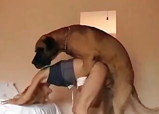 Big dog gets excited and starts fucking wet twat of a blonde at home