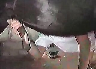 Naughty MILF passionately makes out with a pony and gets fucked by it
