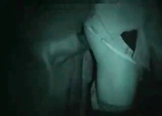 Night-vision camera captures the way horny horse is fucking dude's ass
