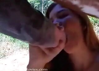 Redhead chick enjoys sucking massive cock of a horse in zoo porn