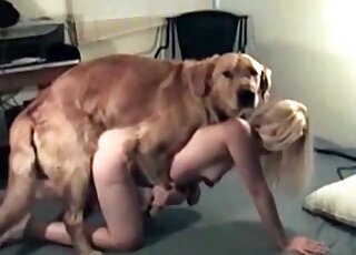Fluffy dog performs a non-stop pussy-ramming of a hot blond chick