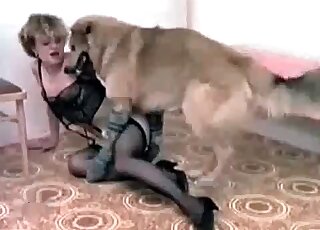 Skinny bitch starts moaning as her doggie starts fucking her from behind