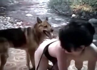 Shepherd dog gets seduced by a brunette zoophile with hairy pussy