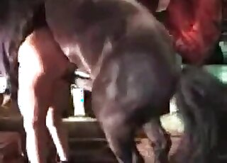Dicke Hure wird im Zoo-Pornofilm von einem Pferd hart von hinten gefickt