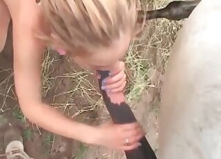 Lovely porn scene showing a ponytailed blonde that strokes and sucks