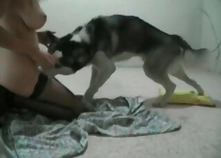 Babe adjusting her hair as this dog fucks her pussy from behind