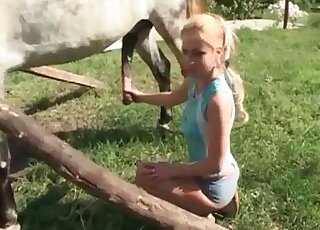Colorfully dressed blondie taking care of this animal's huge cock