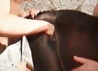 Brown mare's pussy is being fisted vigorously to ensure orgasms