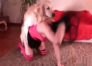 Dark-haired zoophile housewife enjoys humping with a sexy beast