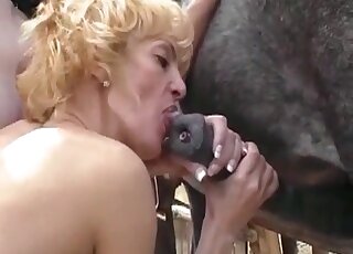 Lesbian sluts cannot get enough of a huge thick cock of a stallion