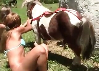 Three Latina whores fuck a pony and tease his dick in turns