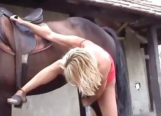 Huge stallion’s cock makes the blonde slut experience orgasm