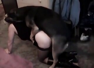 Dog fucks a crazy female slut deep and fast in animal porn scene