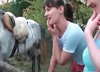 Lesbian chicks lick cunts and go for a huge dong of a horse