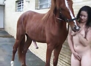 Bestiality sex obsessed bitch gets naked to have fun with a horse