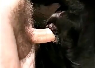 Zoophile dude stuffs animal’s ass with his thick hairy dick