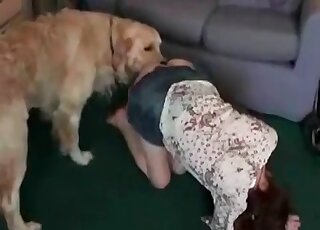 Labrador dog finds a hot girl’s pussy really great for fucking