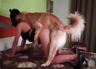 Curvy chick takes off her thong to fuck with her dog in the bedroom