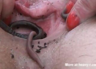 Insane slut loves fucking with worms and insects in a zoo porn action