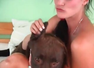 Kinky mature takes her dog in bed and gives the beastl her pussy