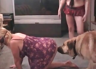 Massive dog finds soaking pussy of a blonde mature perfect for fucking