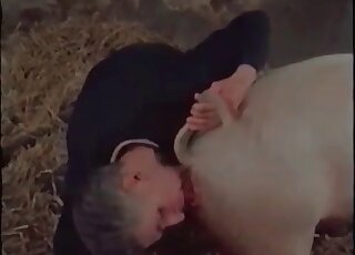 Pervert jerks off and fucks a pig in a wild bestiality porn scene